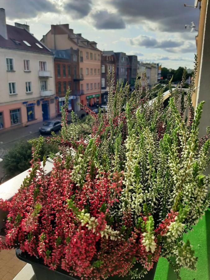 Apartament Centrum Malbork Exterior photo